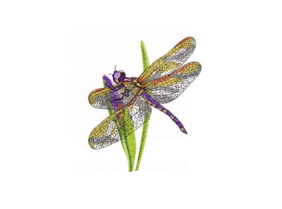 Dragonfly Machine Embroidery Design Review